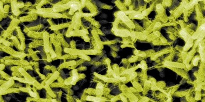 Antibiotic Overuse ID'ed as Culprit in UK Superbug Outbreak