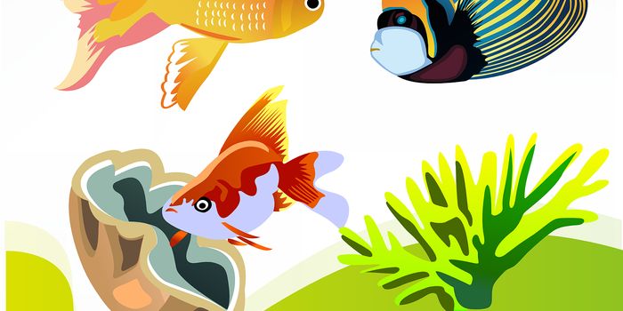 United Nations Genetic Diversity Target Deadline Has Passed