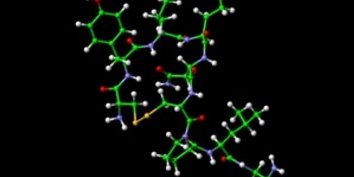 Love Hormone Promotes Group Lying, Researchers Say