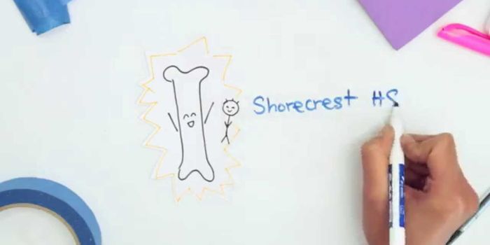 Why Ethnicity Matters in Bone Marrow Transplants