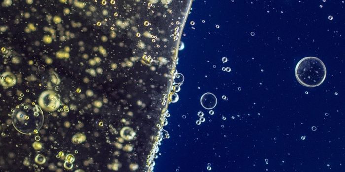 A New Display in Antigen Presentation is Revealed