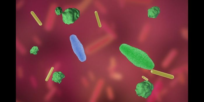 Probiotics Shown to Evolve in the Guts of Mice