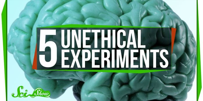 You wouldn't be allowed to perform this unethical experiment nowadays