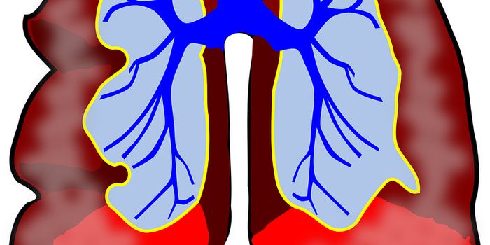 Stem Cells Treat Asthma?
