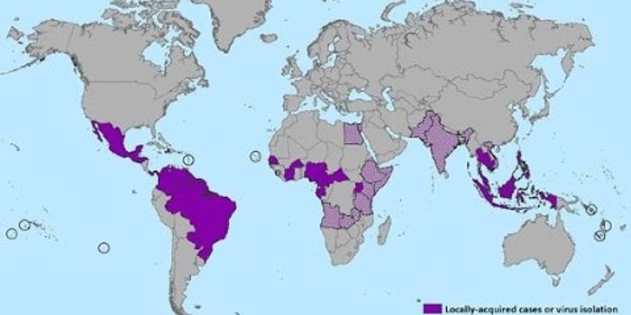 Zika Virus Hits Home in Hawaii