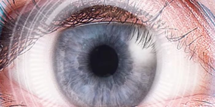 Gene Therapy for Eye Disease is Getting Closer to the Clinic