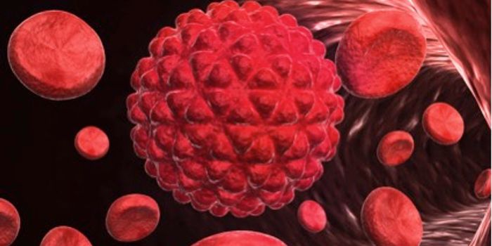 Scientists Discover a Protein that Spreads Cancer