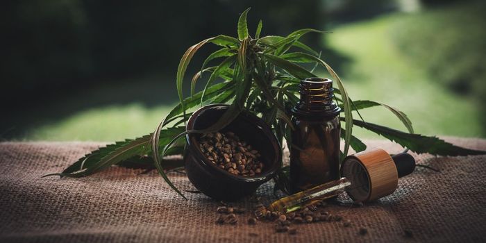 CBD May Help Some Symptoms of Autism in Children, not Others