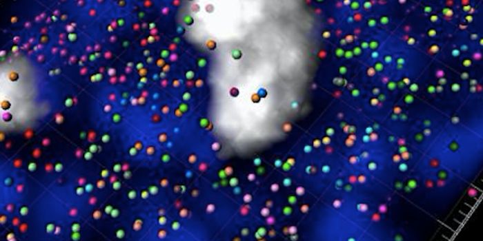 Visualizing Gene Activity in Single Cells