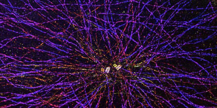 Expanding the Possibilities of Super Resolution Microscopy