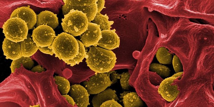 Genetic platform takes the guesswork out of catching infections