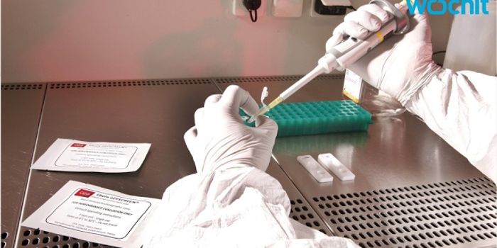 Rapid Ebola Detection Test in Development