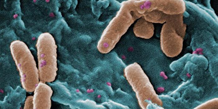 Bioengineered Microbes That are Cellular Speedometers