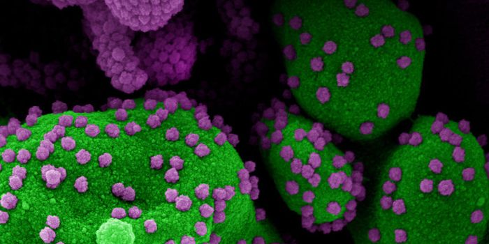 Research Shows Wearing a Face Mask Reduces the Risk of COVID-19 Infection