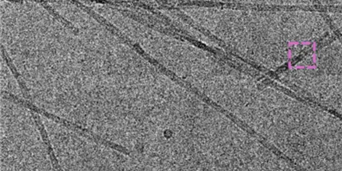 A Novel Model to Study the Spread of Protein Misfolding