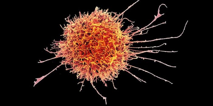 Protecting Killer Immune Cells from Themselves