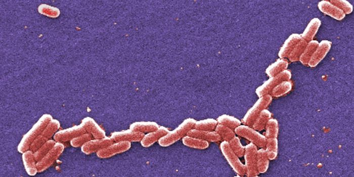 First Superbug Infection In US Patient Found