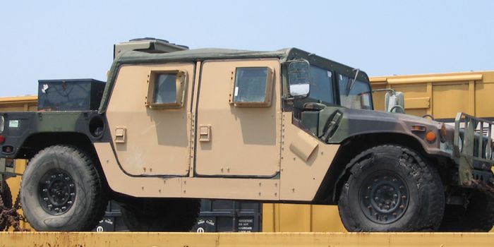 Herbal Medicine May Help Restore the Microbiome, Treat Gulf War Illnesses