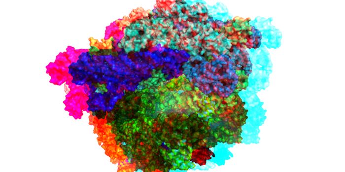 Mechanism of Protein Level Regulation in Cells is Discovered