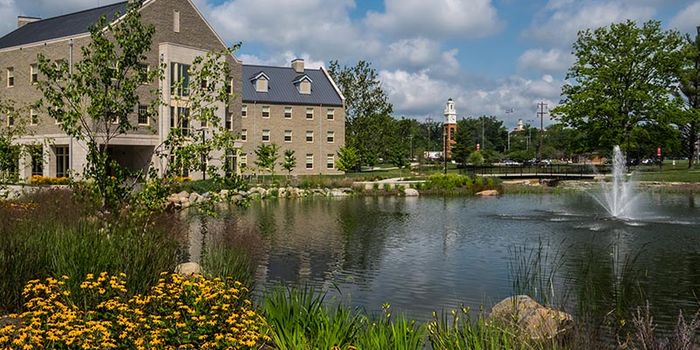 The unknown mysteries of stormwater ponds