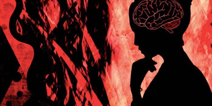 Scientists Identify a Kind of Genetic Anxiety Switch