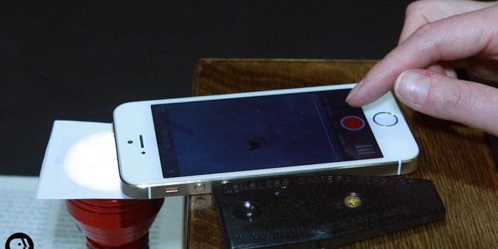 How to See Microbes With Your Smartphone & Household Objects