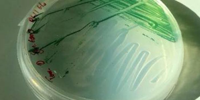 Photosynthesis Began far Earlier Than Thought