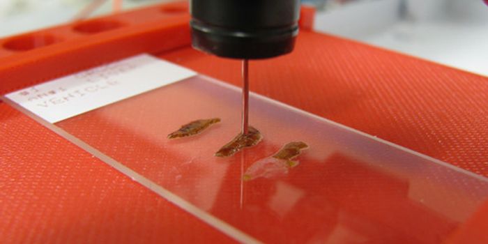 Surface Sampling Probe for Surgeons