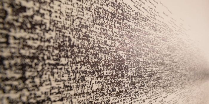 Speaking More to Infants Boosts Brain Plasticity and Linguistic Ability