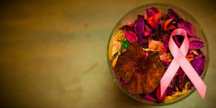 Promising Drug Target Identified for Deadly Ovarian Cancer