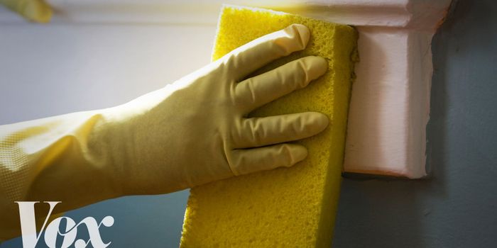 Seasonal Allergies: Can Too Much Hygiene Be To Blame?