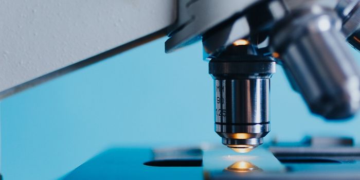 The Protein ETV1 May Act as a Biomarker for Gastrointestinal Cancer