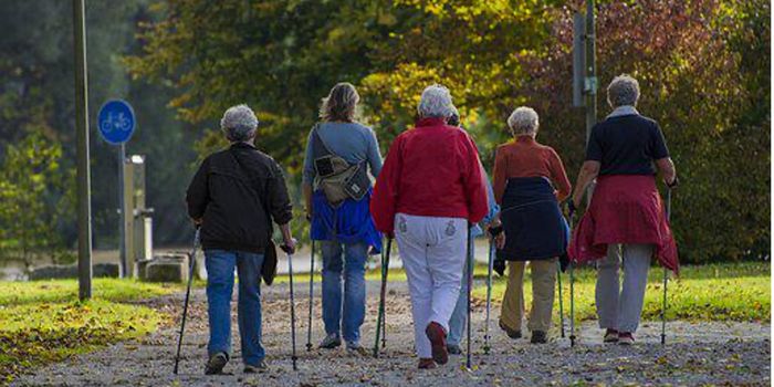 Nordic Walking Improves Life for Heart Disease Patients