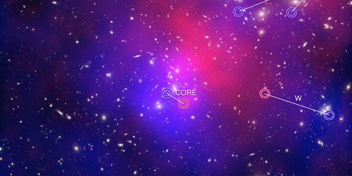 What is Dark Matter and Dark Energy?