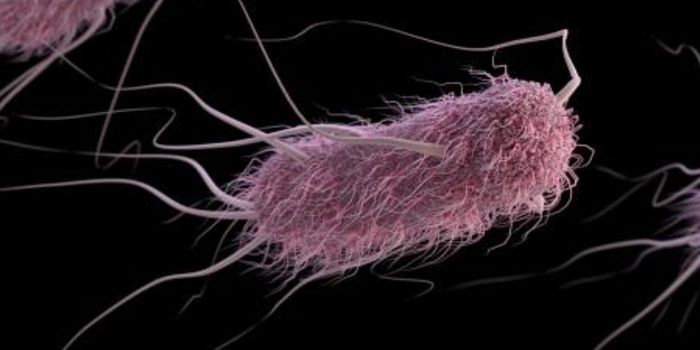 Pathogenic Germs Can Keep Infected Cells in the Gut