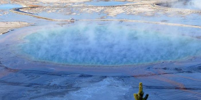 Scientists Discover Viruses That Infect Archaea