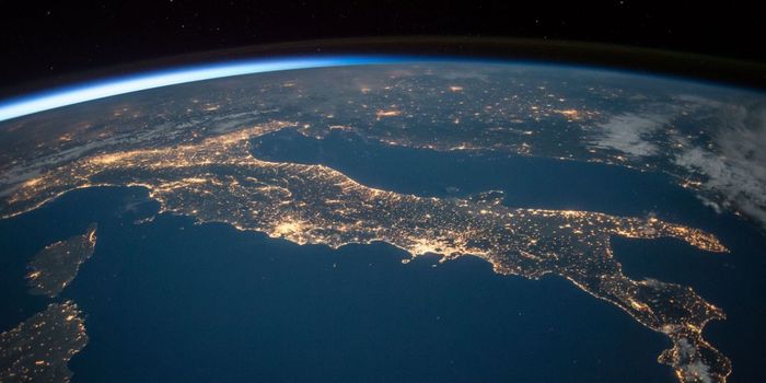 Researchers Use the Internet to Control Animal Brains Remotely