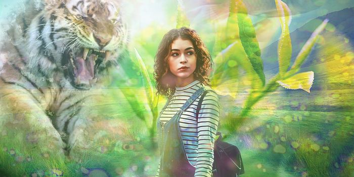 ADHD Drug Reduces Daydreaming, Fatigue and Boredom