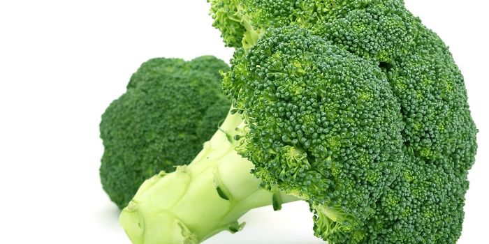 Antioxidants in Broccoli May Prevent Mouth Cancer