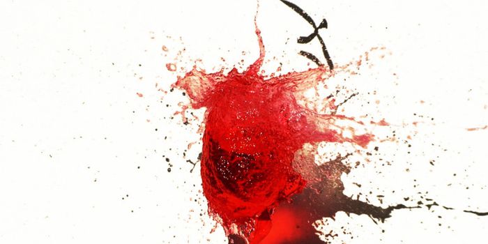 Cells ‘burst' to signal life-or-death decisions