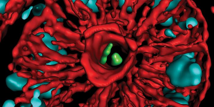 Poop Preservation: A Call to Retain Microbial Diversity