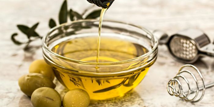 Virgin Olive Oil Aids Brain and Gut Health