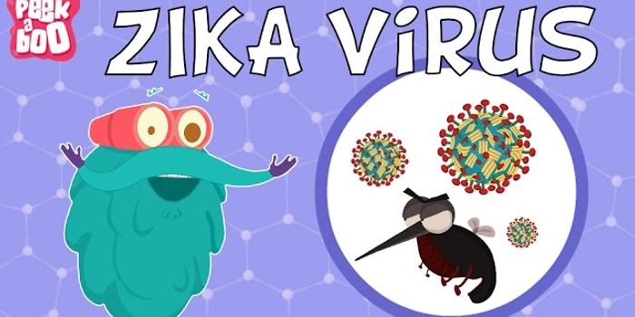 What is the Zika Virus?