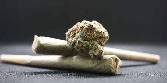 CBD Gains Ground Among Elite Athletes