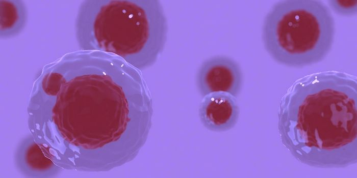 The Molecular 'Anchors' That Hold Cells in Place