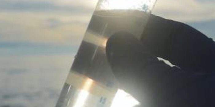 Rethinking Microbial Ecology