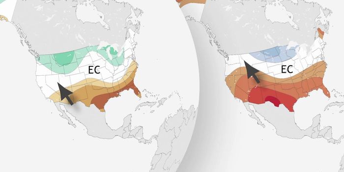 Looking Ahead to Winter