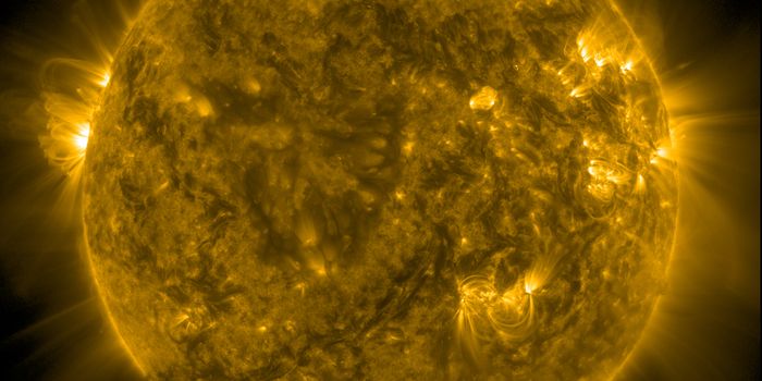 Solar Activity on the Rise Since 2008, Defying Predictions of Quiet Sun