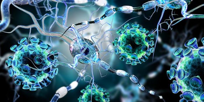 What's Triggering Your Autoimmune Disease?