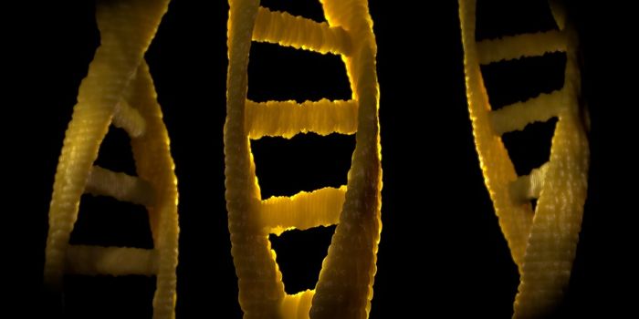 Gene Editing and Stem Cell Tech Predict Heart Disease Risk